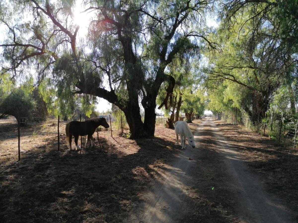 Отель Doornfontein Guest Farm Крэдок Экстерьер фото