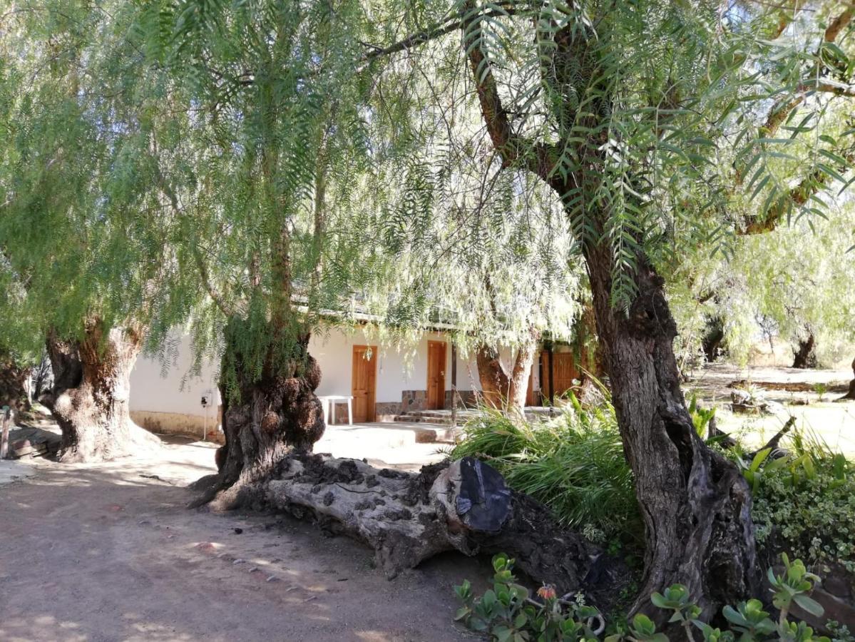 Отель Doornfontein Guest Farm Крэдок Экстерьер фото